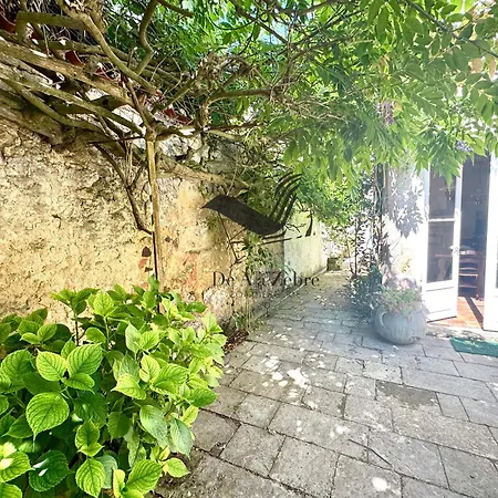 度假居 La Maison De La Glycine - Situee En Plein Coeur De 罗什福尔