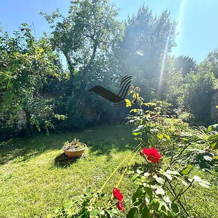La Maison De La Glycine - Situee En Plein Coeur De